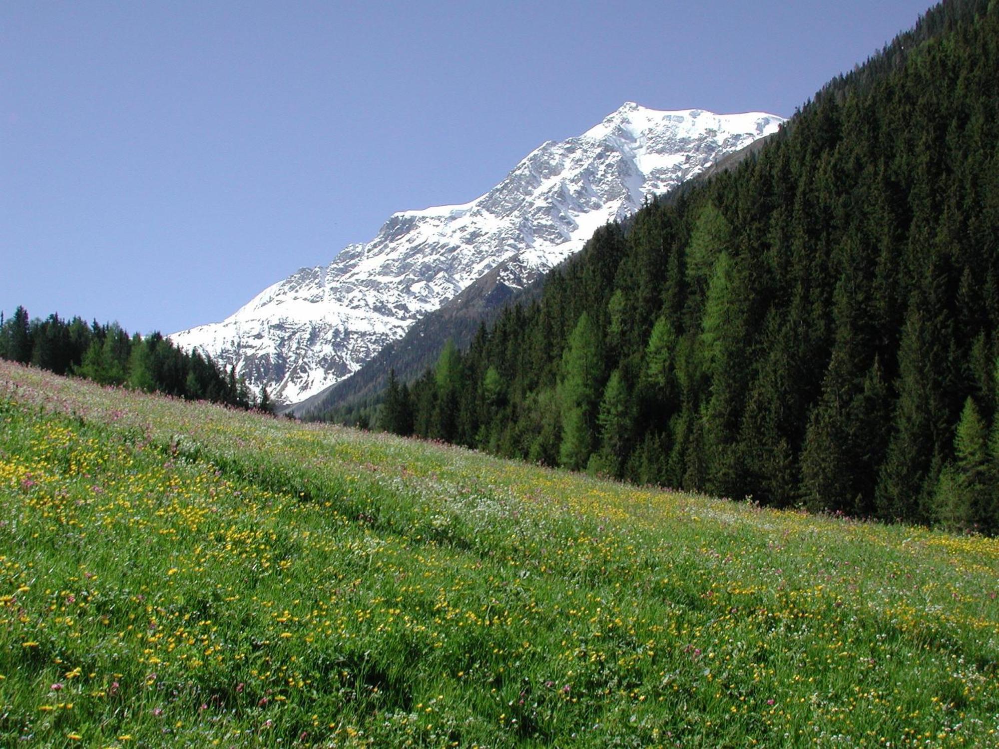 Hotel Stilfserhof ภายนอก รูปภาพ