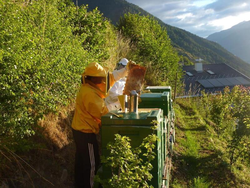 Hotel Stilfserhof ภายนอก รูปภาพ
